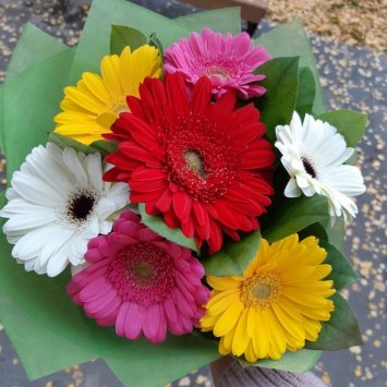 Цветы нижнекамск купить недорого хорошие доставки цветов москва